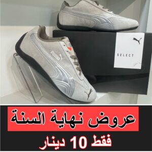 بوما رمادي